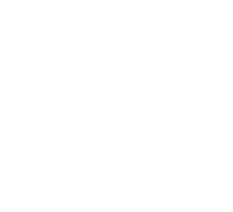 BAR 漆